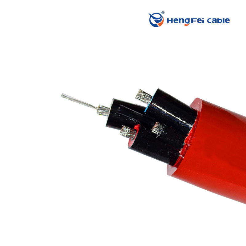 Shield flexible cable